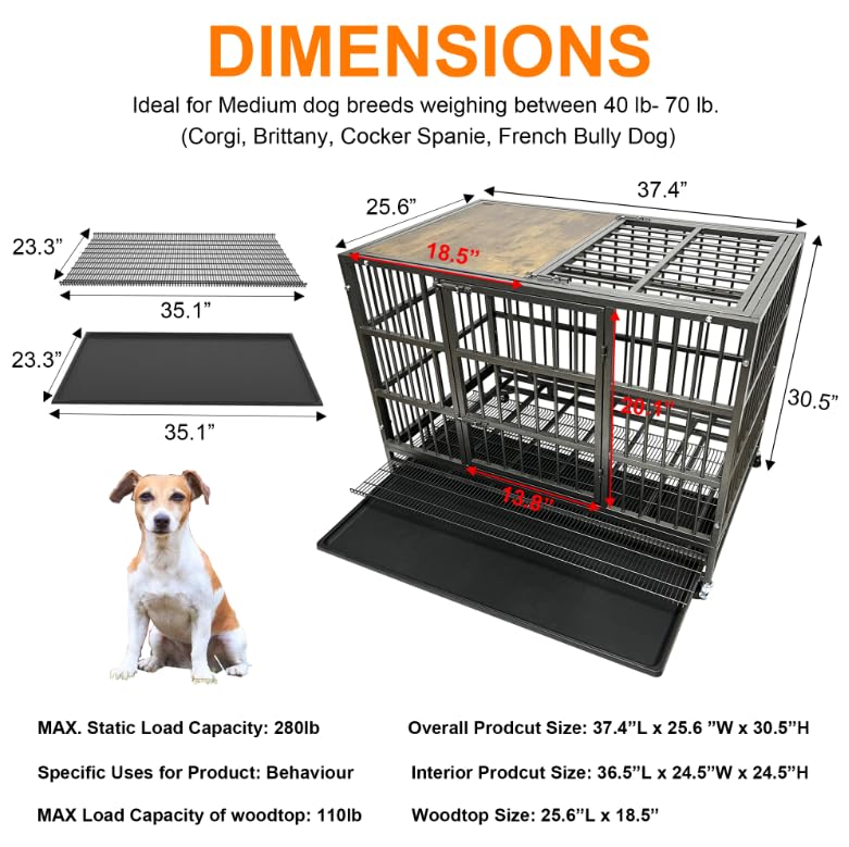 Heavy Duty Dog Crate Cage with Woodtop, Double Door and Tray, Extra Large D341820