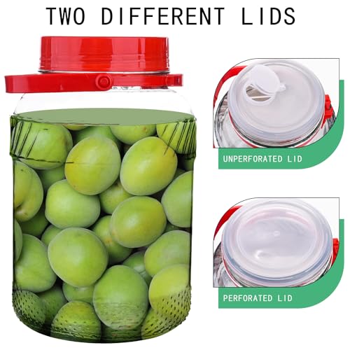 1 Gallon Glass Jar with Lids, 2 Pack Wide Mouth Mason Jars 128 oz H9827