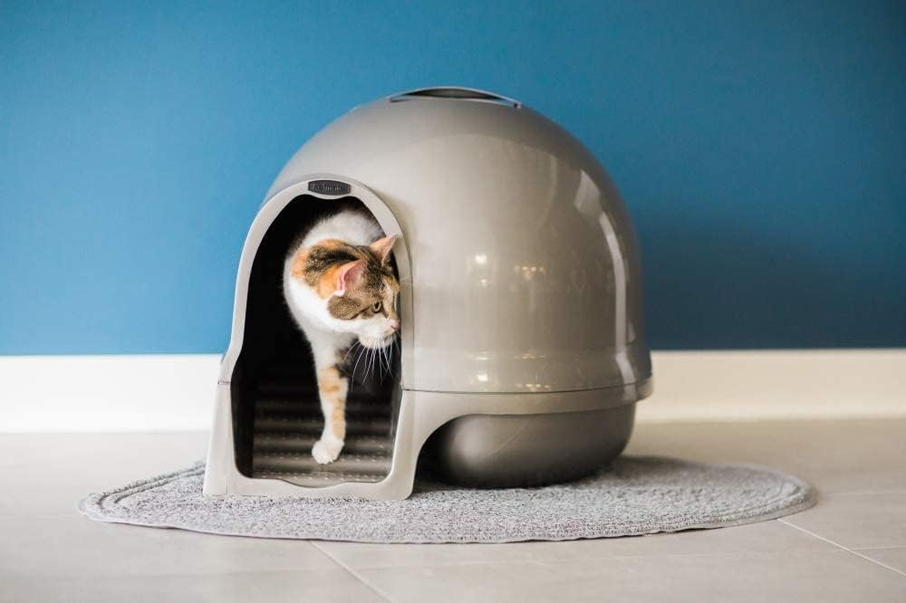 Petmate Booda Clean Step Cat Litter Box Dome, Brushed Nickel J9219