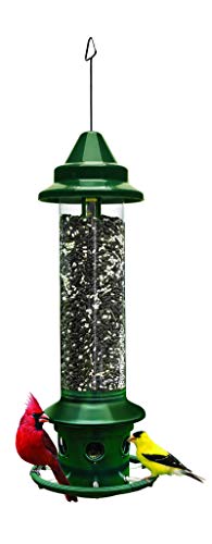 Squirrel Buster Plus Squirrel-proof Bird Feeder w/Cardinal Ring and 6 Feeding Ports, 5.1-pound Seed Capacity, Adjustable, Pole-mountable (POLE ADAPTOR SOLD SEPARATELY), Green