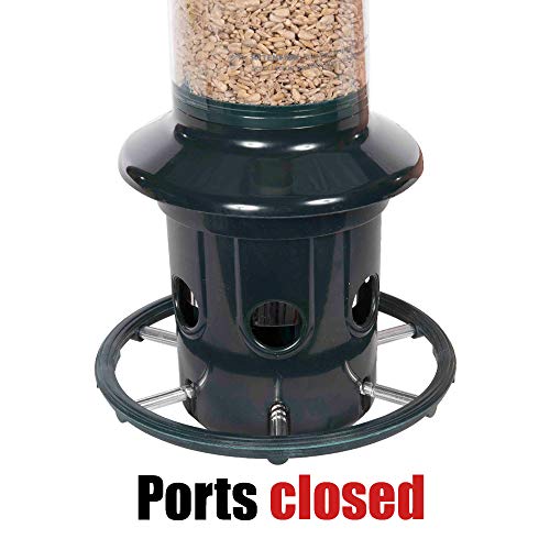 Squirrel Buster Plus Squirrel-proof Bird Feeder with Cardinal Ring, Green S5701