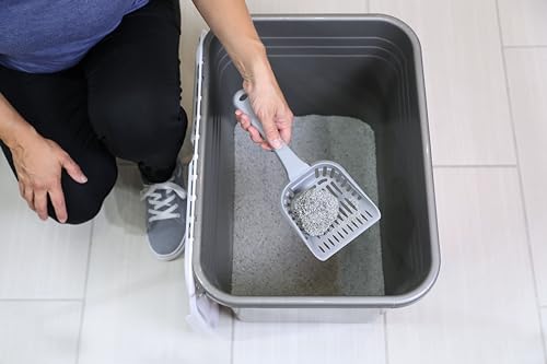 Petmate Top Entry Cat Litter Box with Filter Lid T84094