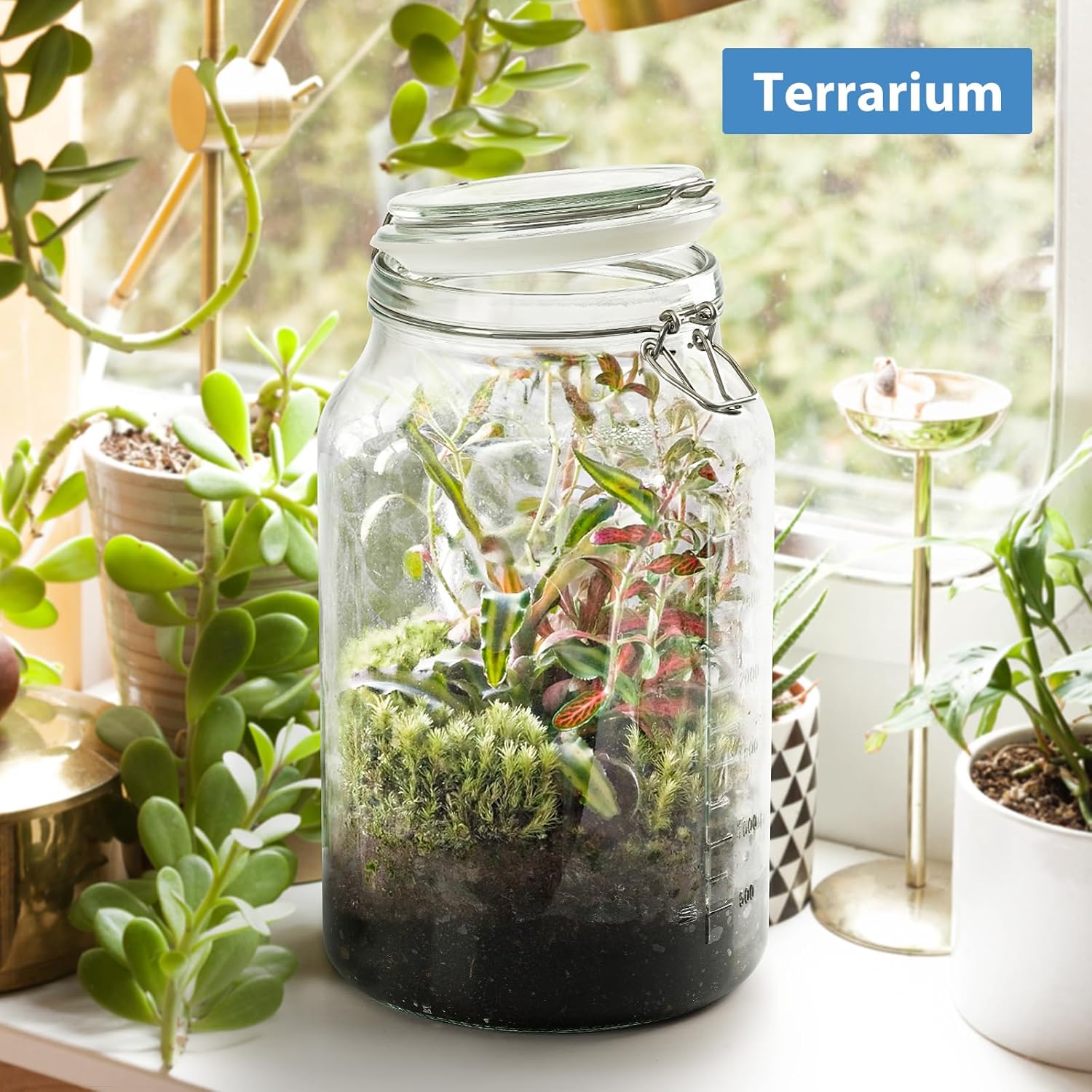 1 Gallon Glass Storage Jars with Airtight Lids, 2 Pack G84224