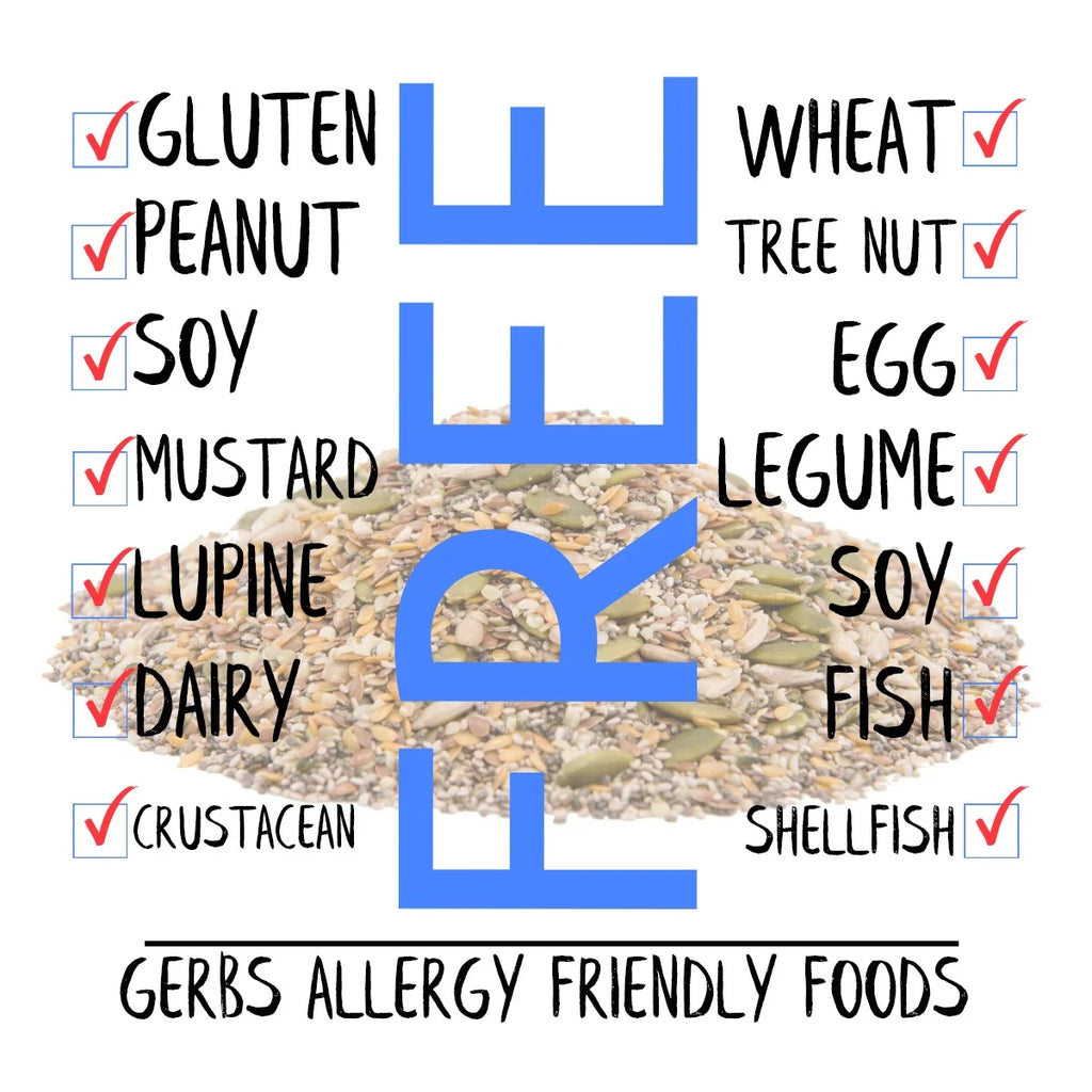 GERBS Dried Fruit Seed Salad Trail Snack Mixes, Allergy Free, Vegan J548575