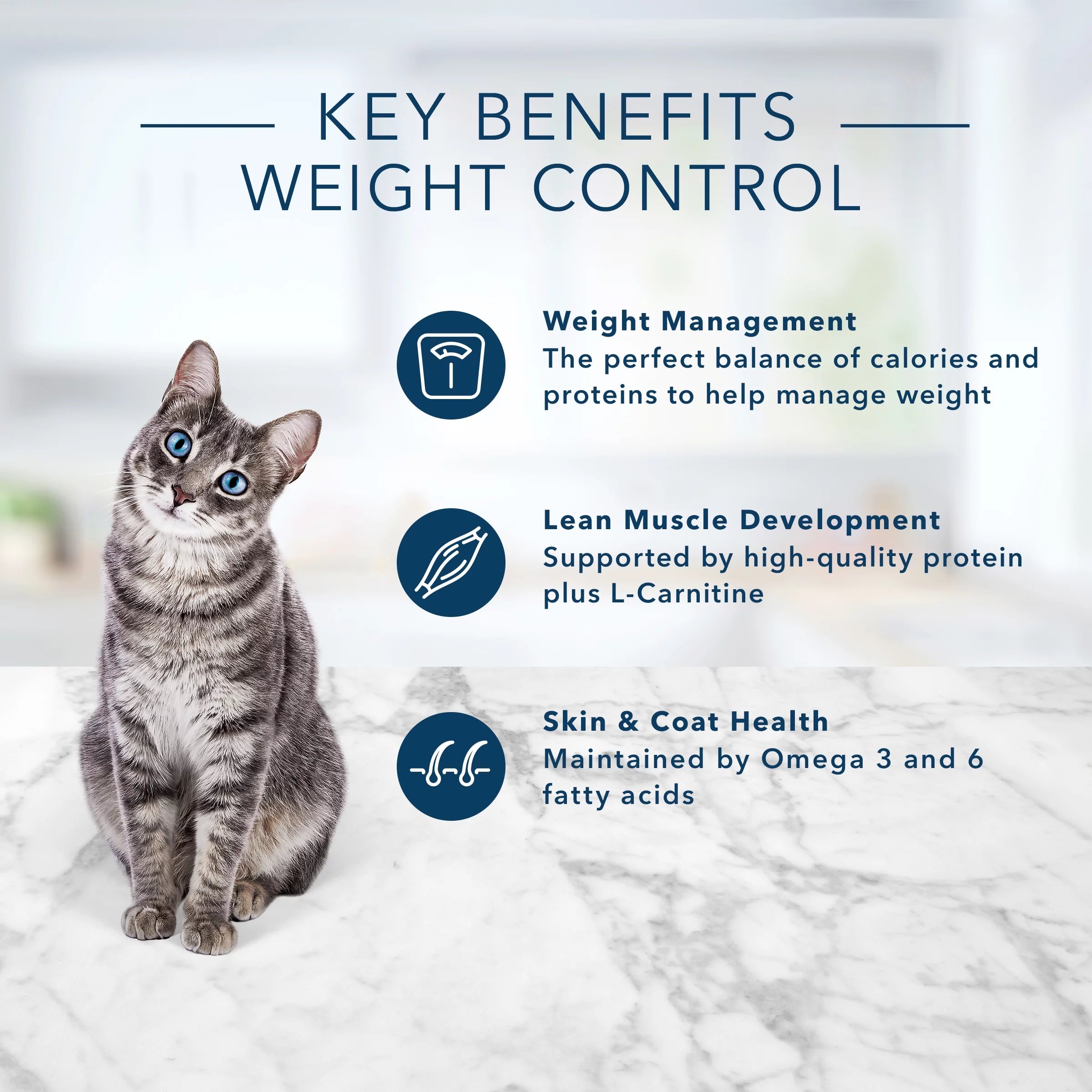 Blue Buffalo Tastefuls Weight Control Adult Dry Cat Food, Chicken 3lb B9126