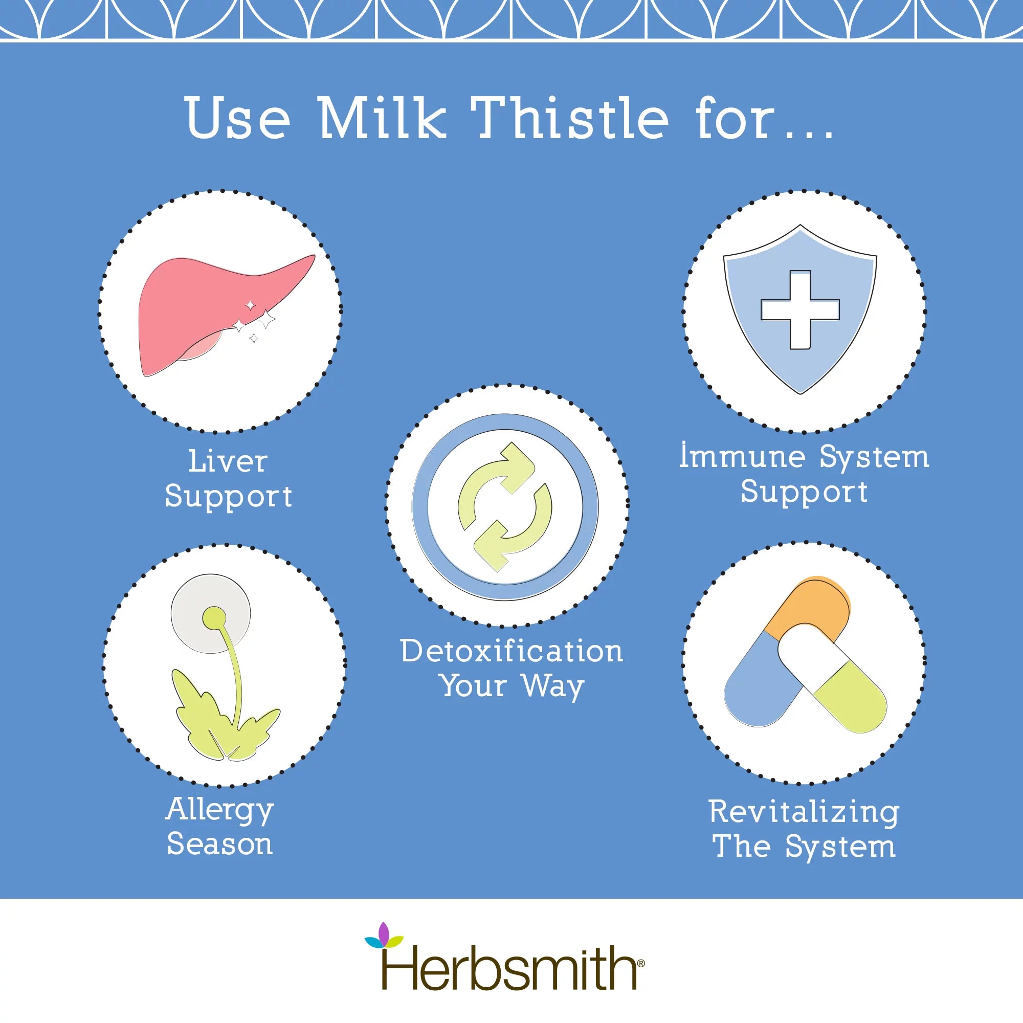 Herbsmith Organic Milk Thistle for Dogs and Cats Liver Supplement, 500g Powder L633